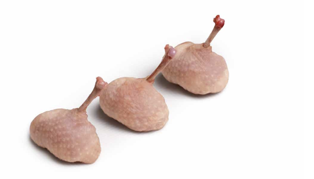 Quail lollipops